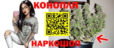 сатива Бузулук